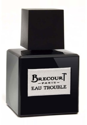 Eau Trouble  от Brecourt