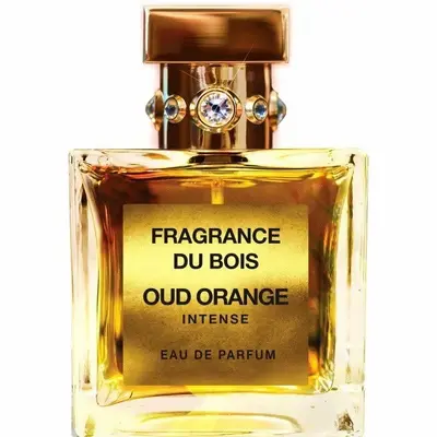 6645 fragrance du bois oud orange intense