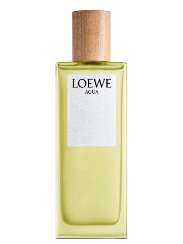 loewe agua de loewe 