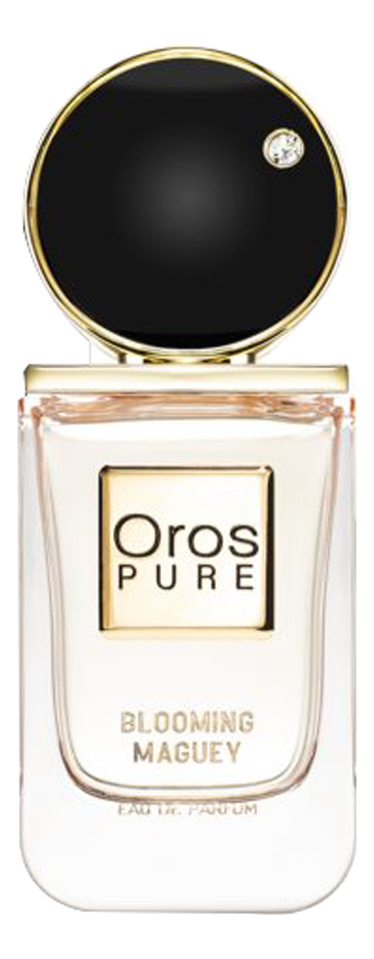 Pure Blooming Maguey Oros