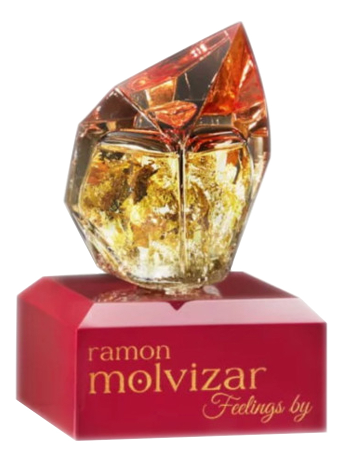 Feelings Ramon Molvizar