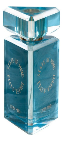 state of mind open mind 