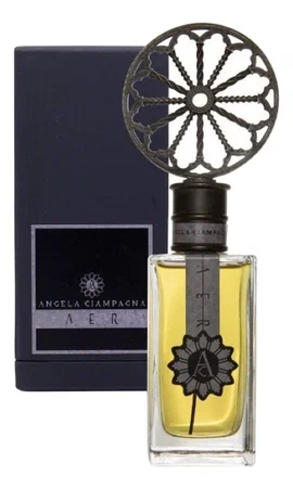 9105 angela ciampagna aer exdp