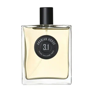 pierre guillaume 3 1 arabian horse